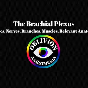 May include: A black and white image with the text "The Brachial Plexus" and "Basics, Nerves, Branches, Muscles, Relevant Anatomy". Below the text is a black circle with a rainbow eye and the text "OBLIVION ANESTHESIA" in white.