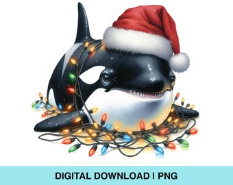 Weihnachts Orca, Weihnachtsmannmütze, Lichterkette (Digital Clipart)