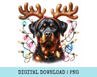May include: A Rottweiler dog wearing reindeer antlers and a festive string of colorful Christmas lights. The digital illustration has a white background with the text "DIGITAL DOWNLOAD | PNG" at the bottom.