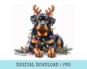 May include: A Rottweiler dog wearing a reindeer antler headband and a string of colorful Christmas lights. The dog is lying down with its paws extended. The words "DIGITAL DOWNLOAD | PNG" are at the bottom.