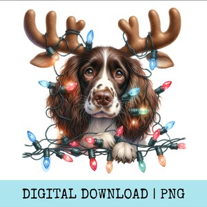 Puede incluir: Ilustración digital de un perro marrón y blanco con cuernos de reno y luces navideñas. El perro es el foco, con luces de colores alrededor de su cara y patas. El texto "DIGITAL DOWNLOAD | PNG" está en la parte inferior.