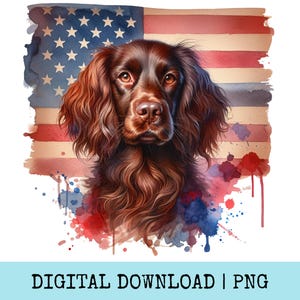 May include: A watercolor illustration of a brown dog with long, wavy fur, set against a backdrop of the American flag. Red, white, and blue paint splatters add a decorative touch. The text "DIGITAL DOWNLOAD | PNG" is at the bottom.