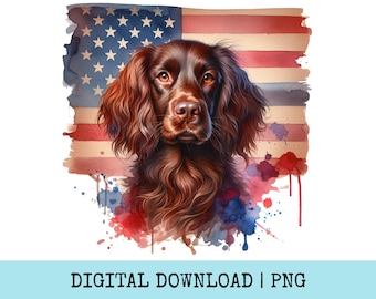 Boykin Spaniel American Flag Digital, 4th of July Dog PNG, Patriotic Dog Art, High Resolution Digital File, Transparent Background