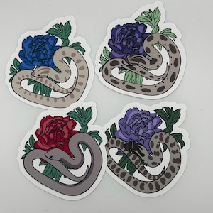 Colorful Hognose Snake Stickers, Heterodon Nasicus Decals for Laptops, Journals, and Scrapbooks