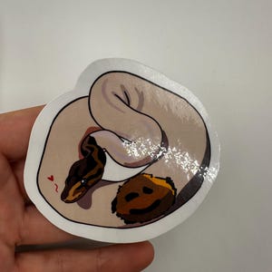 royal python sticker image 4