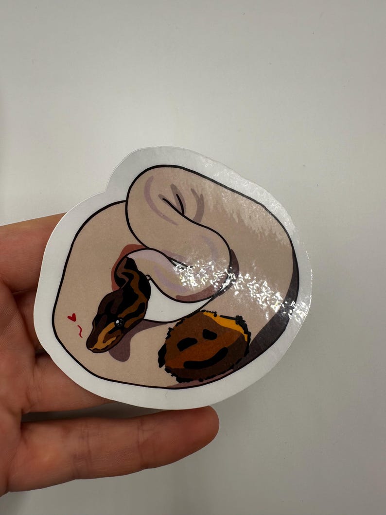 royal python sticker image 4