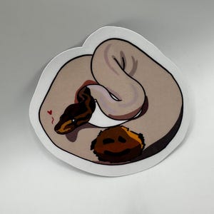 pegatina de pitón real