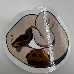 royal python sticker image 2