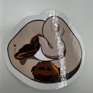 royal python sticker image 3