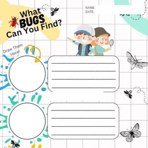Lets Go On a Bug Hunt - STEM Worksheet