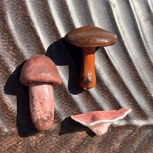 Natural Mushroom Clay Magnet Trio (Handmade)