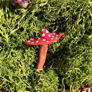 Adorable Red-Pink Handmade Clay Mushroom Magnet