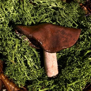 Earthy Brown Handmade Clay Mushroom Magnet