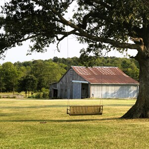 Puede incluir: Un columpio de madera cuelga de una gran rama de árbol frente a un granero rústico con un techo de metal oxidado. El columpio está hecho de listones de madera y tiene un diseño sencillo.