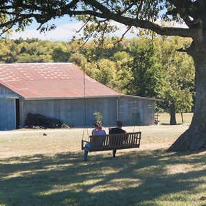 Puede incluir: Una pareja sentada en un columpio de madera bajo un gran árbol frente a un granero rústico con un techo de metal rojo.