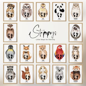Waschbär Baby Fußabdruck Set Personalisiert Abdruckset Tiere Kinder Rahmen Wandbild Zimmer Poster Geschenk Geburt Meilenstein Bild Bär