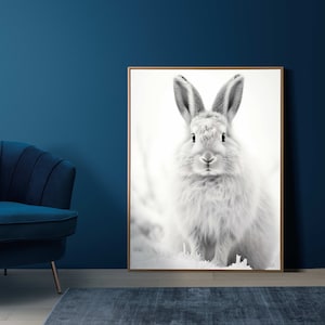 Puede incluir: Una fotografía en blanco y negro de un conejo blanco con pelaje esponjoso, mirando directamente a la cámara. El conejo está de pie en un entorno nevado.