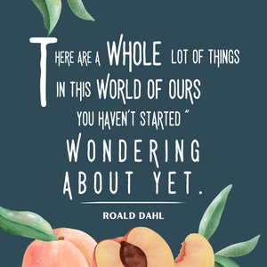 James and the Giant Peach Roald Dahl Quote - Digital download