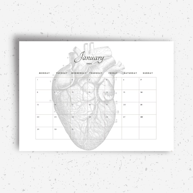 2024 Printable Anatomy Simple Calendar 11x8.5 Horizontal Etsy México