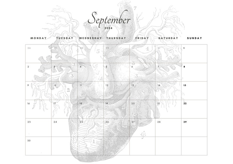 2024 Printable Anatomy Simple Calendar 11x8.5 Horizontal Etsy México