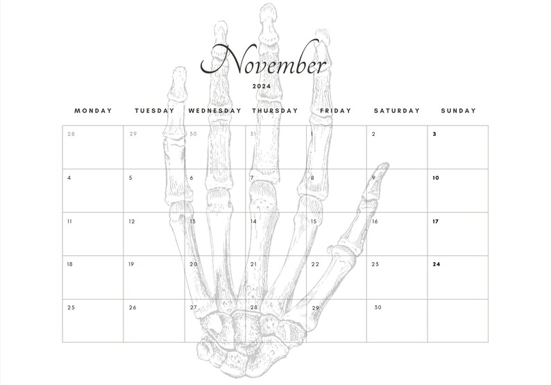 2024 Printable Anatomy Simple Calendar 11x8.5 Horizontal Etsy México