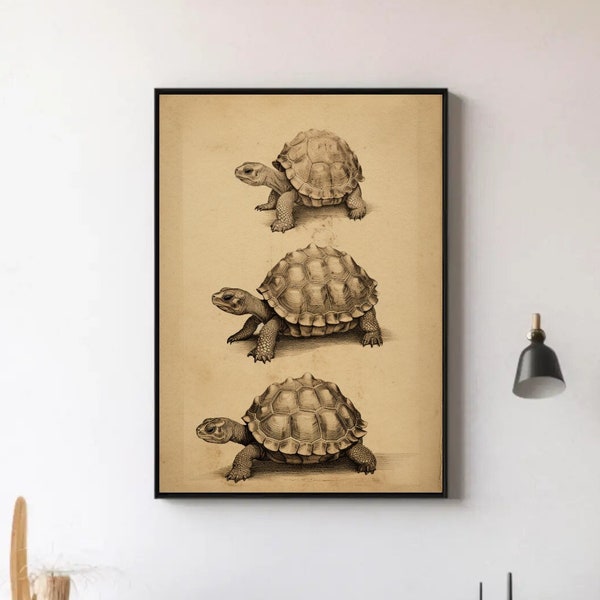 Retro Turtle Habitat Art | Nostalgic Scenes on Parchment Canvas | Wildlife Direct Download Printable Wall Art