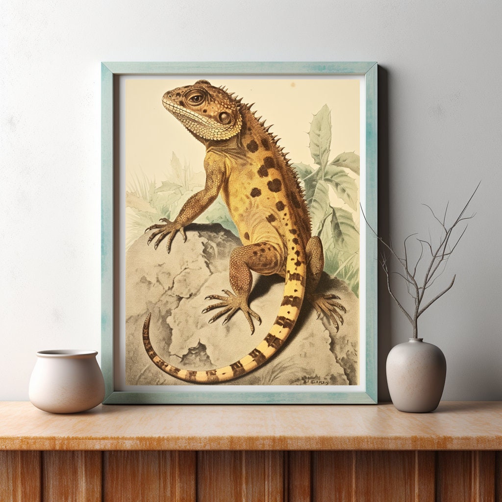 Vintage Reptile Print: Gecko Iguana and Bearded Dragon Wall - Etsy