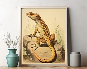 Rustic Gecko Sketches | Nostalgic Ecology Art for Immediate Direct Download | PRINTABLE Direct Download Wall Decor