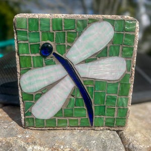 Puede incluir: Una baldosa de mosaico cuadrada con un diseño de libélula. La libélula tiene alas blancas y verde claro, un cuerpo azul oscuro y una cuenta azul oscuro para la cabeza. El fondo está compuesto por pequeñas baldosas verdes.