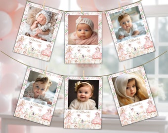 May include: A set of six pink and white photo cards with floral designs and fairy illustrations. Each card has a different age milestone, from newborn to five months, and a space for a photo. The cards are strung together with a white string and clothespins.