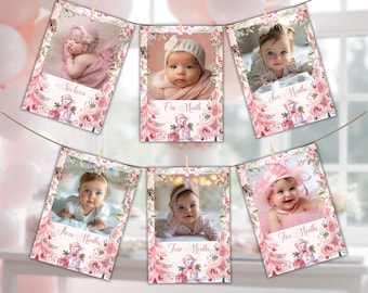 May include: Pink and white photo banner with a snowman design. Each photo frame has a different age milestone, from newborn to five months. The banner is strung with twine and clothespins.