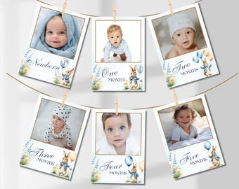 May include: A set of six blue and white photo cards with a Peter Rabbit theme. Each card features a different age milestone, from newborn to five months, with a corresponding photo of a baby. The cards are decorated with flowers, balloons, and a Peter Rabbit illustration.