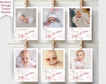 Monthly Photo Banner, Baby's First Birthday Milestone Decor, Time Flies When You're Turning One Theme, Girl 1st Birthday Party