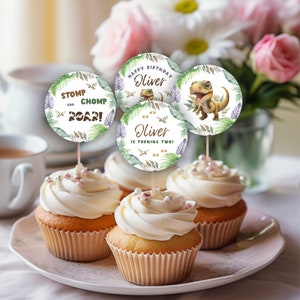 Bearbeitbare Dinosaurier Cupcake Toppers, DIY druckbare Jungen 2. Dinosaurier Thema Geburtstag Party Dekor, sofortiger digitaler Download, Dino Party Toppers