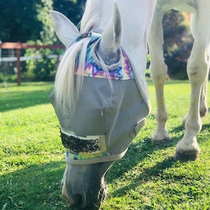 PACI-FLY horse Fly Mask - with sticky tapes to trap flies.  They only land ONCE!