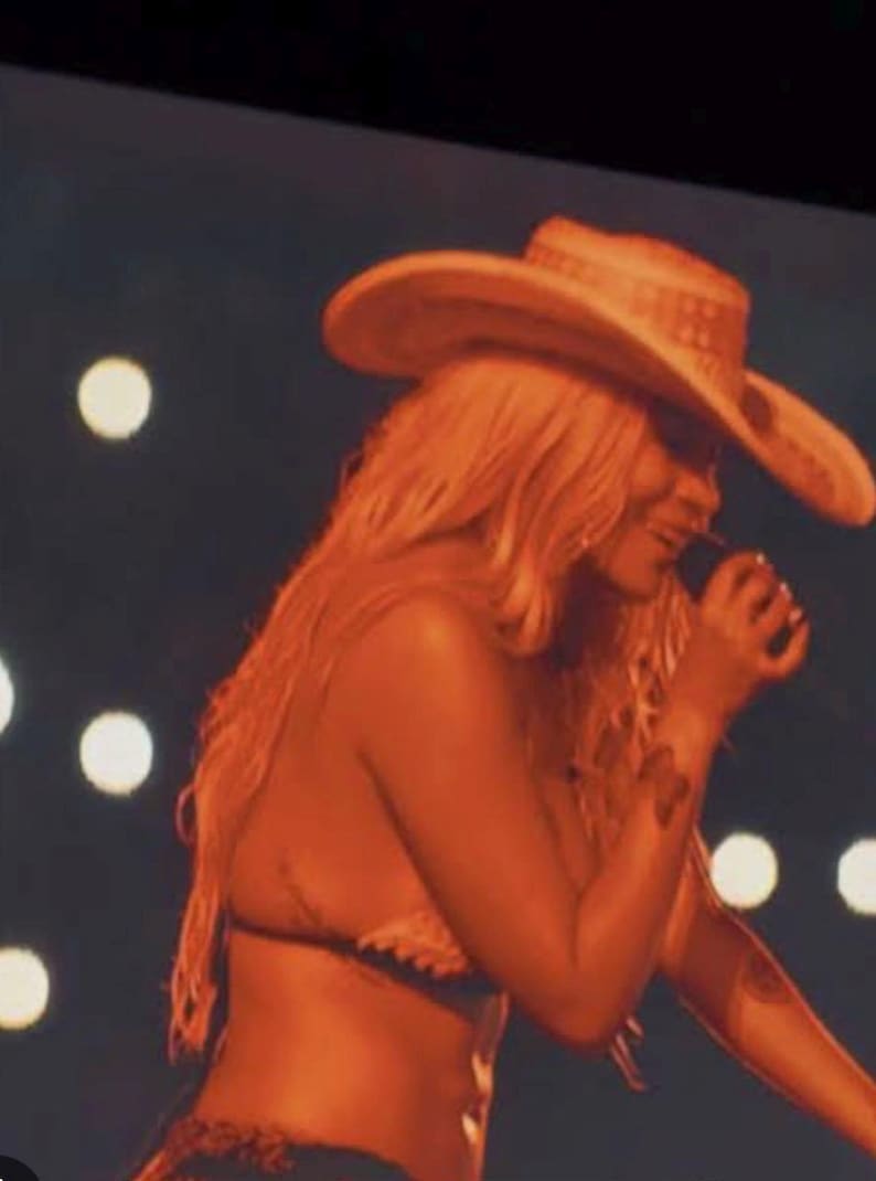 May include: A light-colored cowboy hat with a wide brim and a textured band, worn by an individual with long wavy hair. The individual is holding a black microphone near their mouth, set against a dark background with soft, out-of-focus circular lights.
