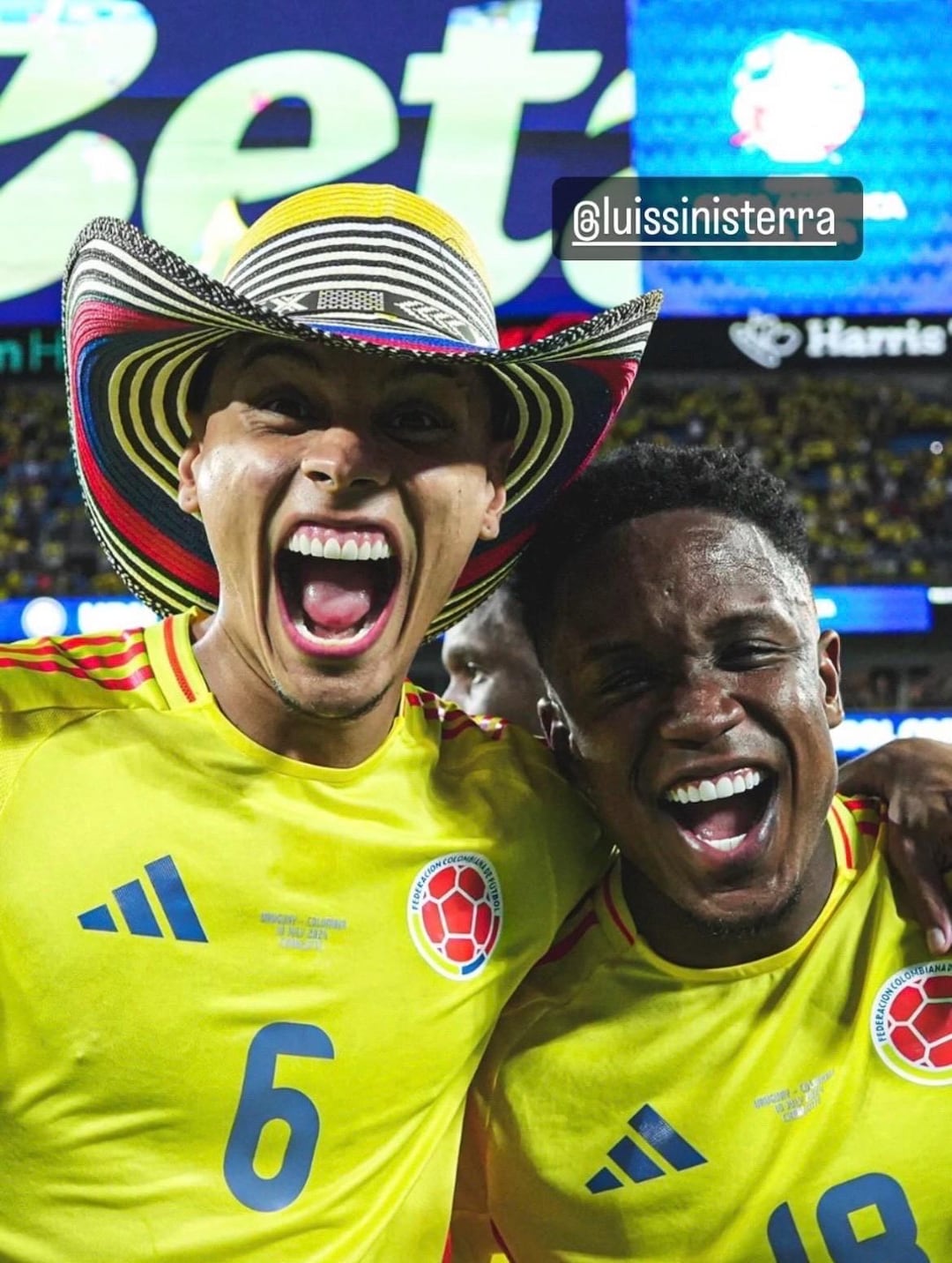 Sombrero Vueltiao - Karol G Tropicoqueta Tour/ FIFA Outift Item