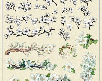 Clipart di fiori di melo: grafica floreale per scrapbooking (download digitale)