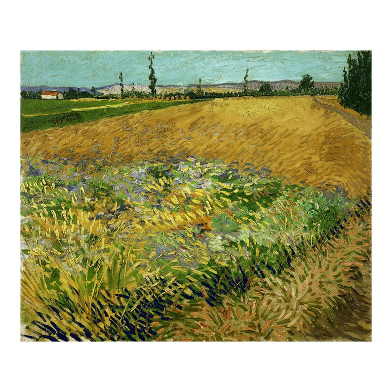 Vincent Van Gogh, Wheatfield 1888, Fine Art Poster, Moody Wall Décor ...