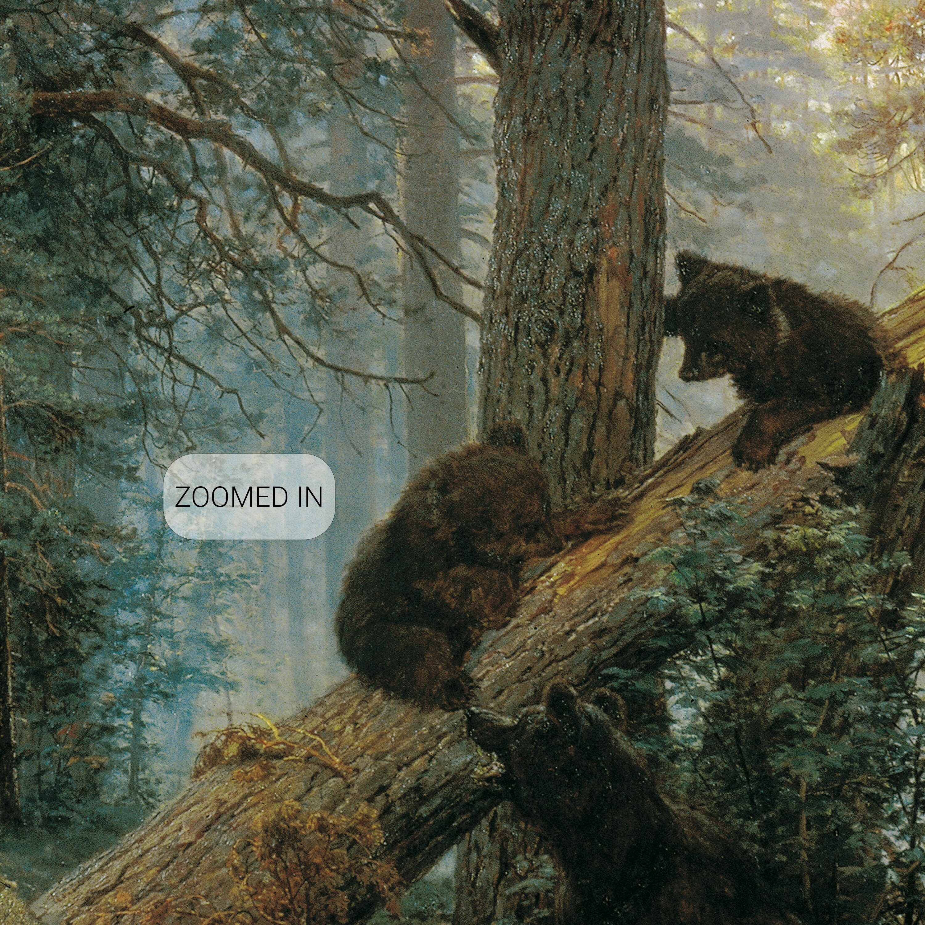 Morning in a Pine Forest • Ivan Shishkin • Canvas Print • Museum Quality Giclée • 1691-SHS