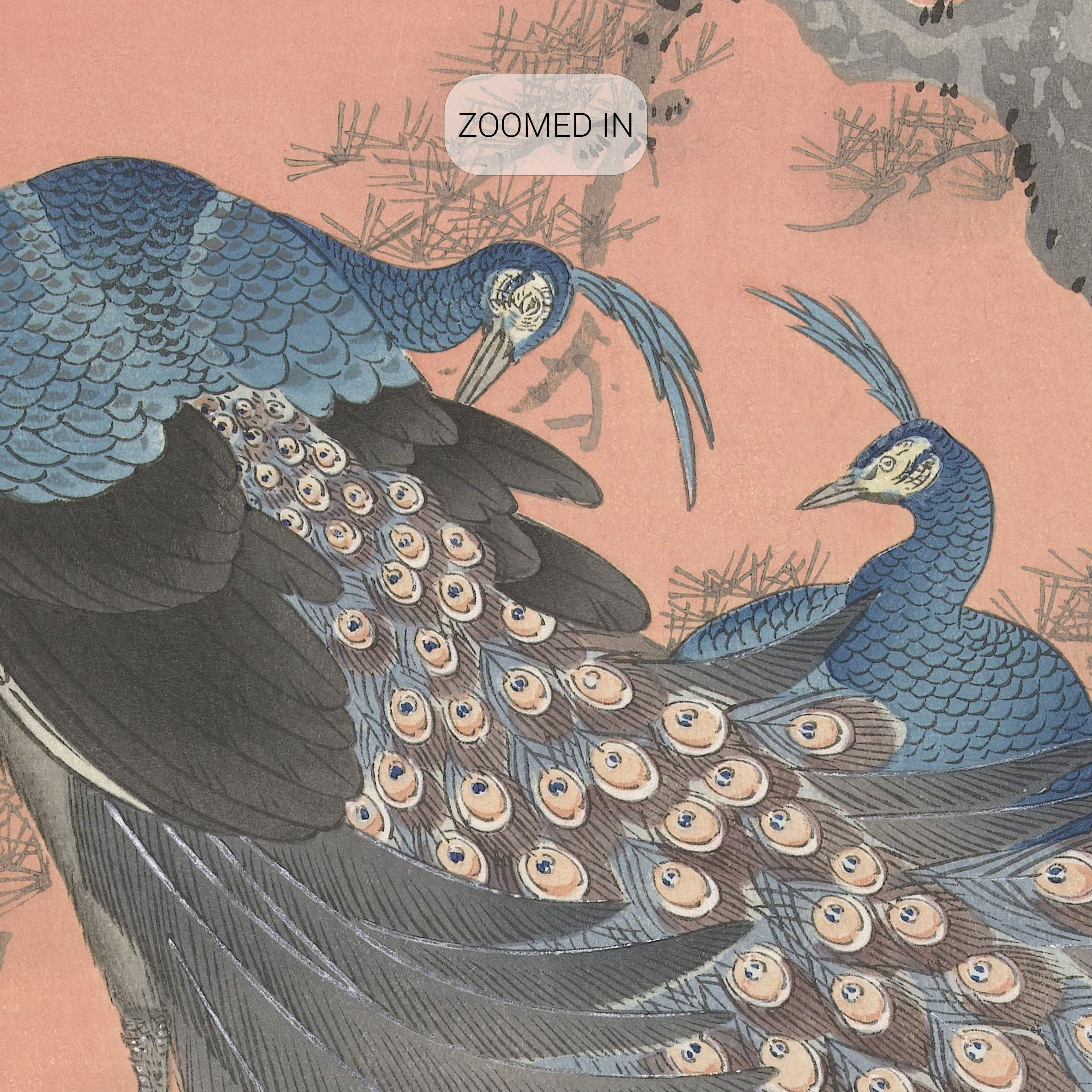 Ohara Koson Two Peacocks on Tree Branch 1905 Wall Décor - Etsy