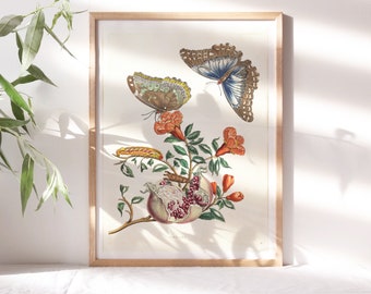 Maria Sibylla Merian, Platte 18, 1803 Wanddekor, Botanisches Schmetterling Kunstwerk Premium Leinwand Papier, Kunst Gemälde Reproduktion Flr-102