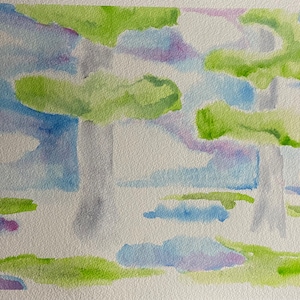 Cypress VII