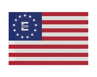Fallout Enclave Flag