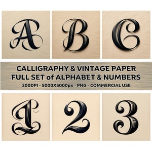 Caligrafia em papel vintage, conjunto completo de fontes, alfabeto e números, clipart, PNG, subliminação, uso comercial, clipart, fontes onduladas extravagantes, diário de lixo