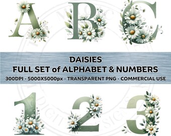 DAISY Flowers Font Full Set Alphabet & Numbers Sage Green Letters Clipart PNG Transparent Background Sublimination Commercial Use ClipArt