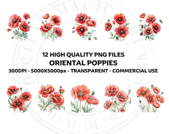 12 Oriental Poppies Flowers Bundle High Quality Clipart PNG Transparent Background Clipart Commercial Use PNG Illustrations 300DPI 5000px