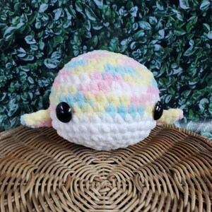 Sherbert Whale