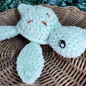Mint Choco Turtle