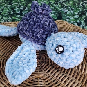 Blueberry Turtle